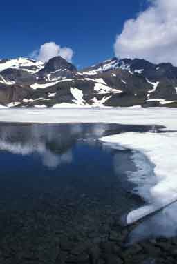 Immagine di riferimento del corso