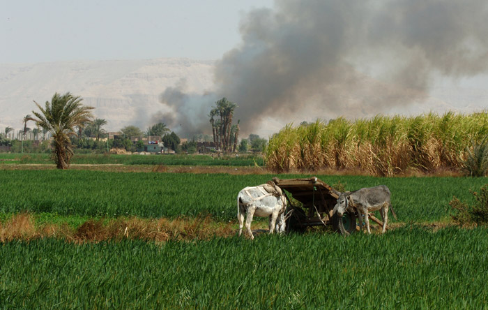 Image_1/@filedescription