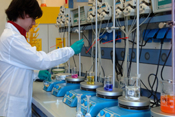 Image_1/@filedescription