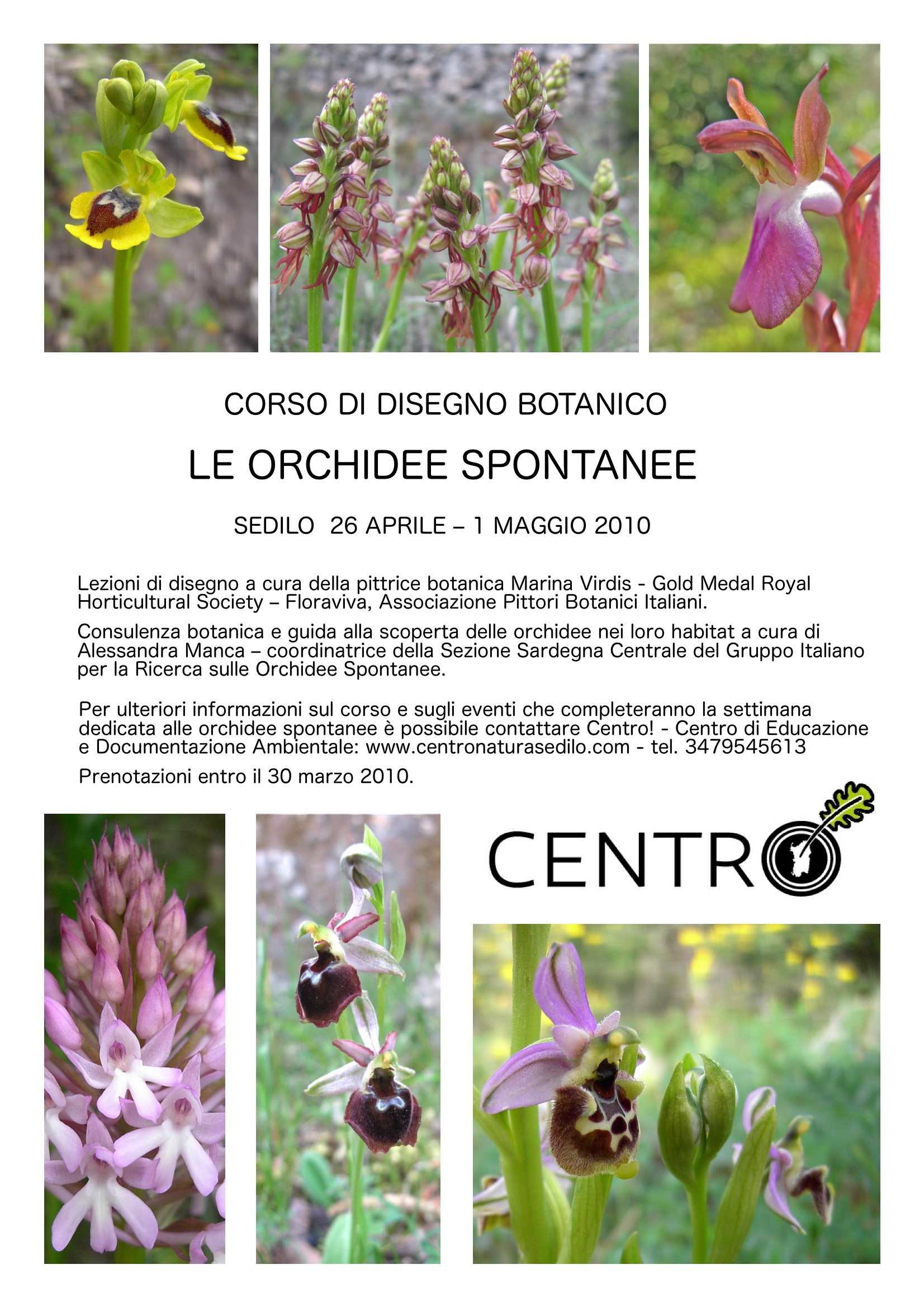 Image_1/@filedescription