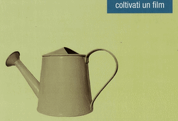 Image_1/@filedescription