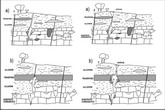 Schema dei meccanismi di risalita - Collegamento all'immagine in una nuova finestra (58 Kb)