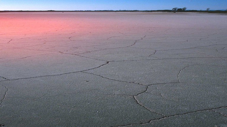 desert.jpg