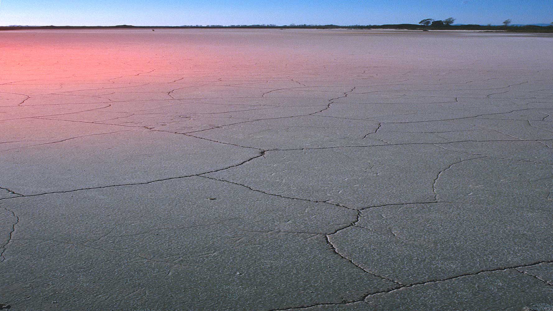 desert.jpg