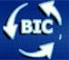 151 logo bic.jpg