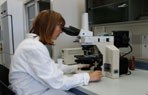 169 laboratorio pavese.jpg