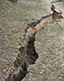 227 terremoto6apr.jpg