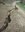 229 terremoto6apr.jpg