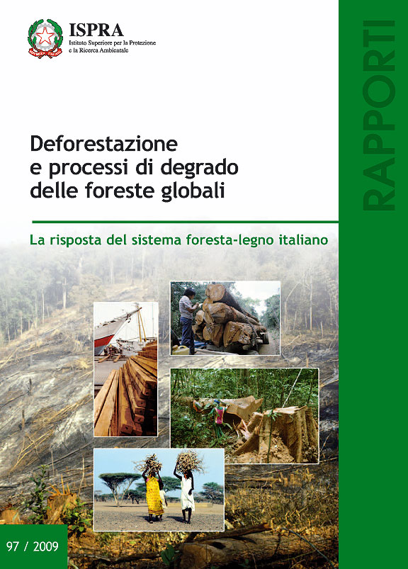 991 97 2009deforestazione.jpg