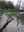 1126 terremoto geomitologia.jpg