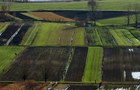 1316 fl32.jpg