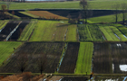 1316 fl32.jpg