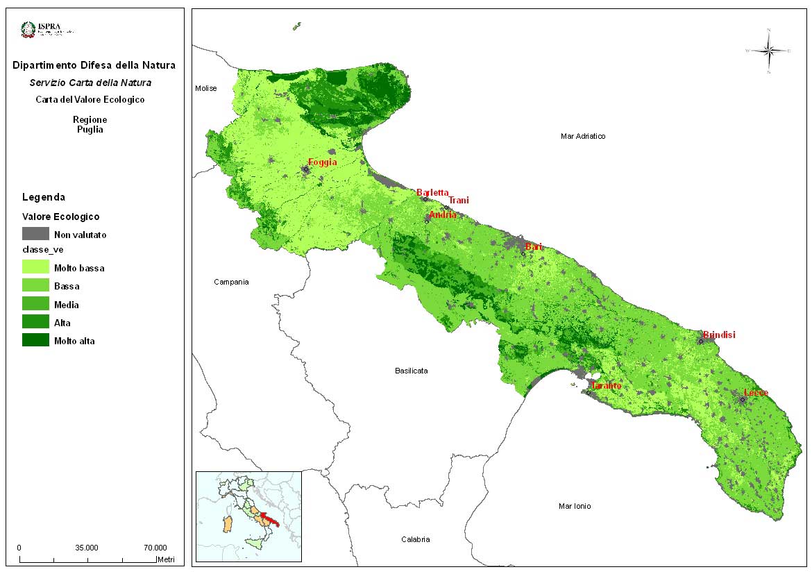 2142 puglia valore eco.jpg