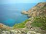 2235 5 asinara p.jpg