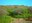 2236 6 asinara p.jpg