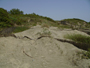 3132 ecosistemicost corso web.jpg