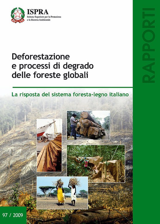 3581 97 2009deforestazione.jpg