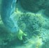 3641 corso sedimenti.jpg