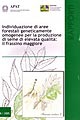 3736 r 58 2005.jpg