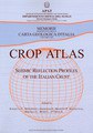 4019 crop atlas img.jpg