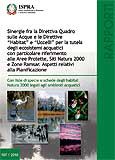 4129 rapporto 107 2010001.jpg