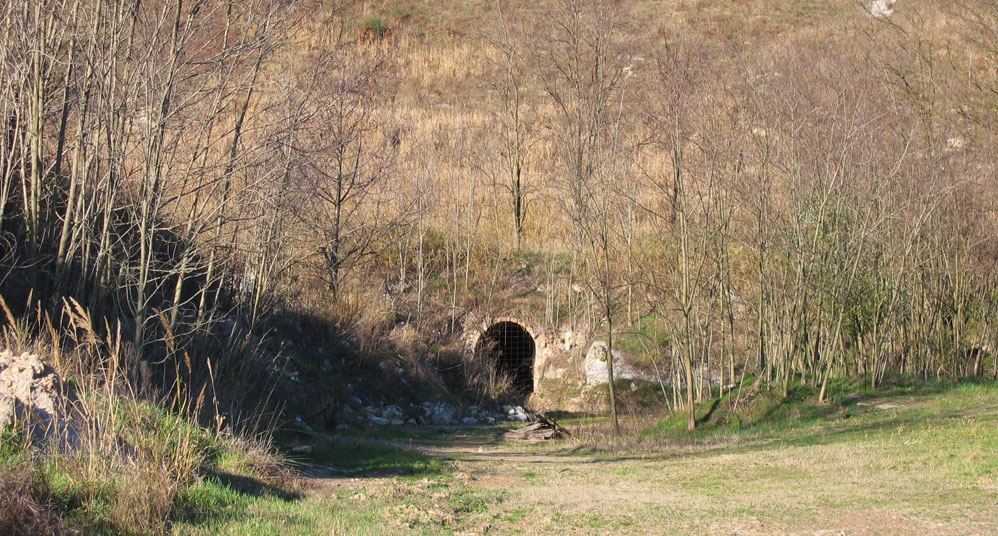 4569 form galleria forni gill.jpg