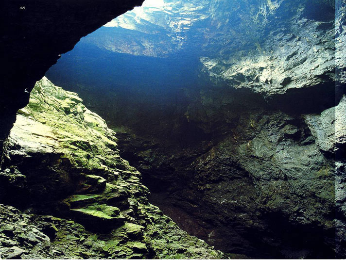 4636 capoliveri ginevro.jpg