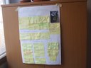 4642 cartelloni amico albero2.jpg