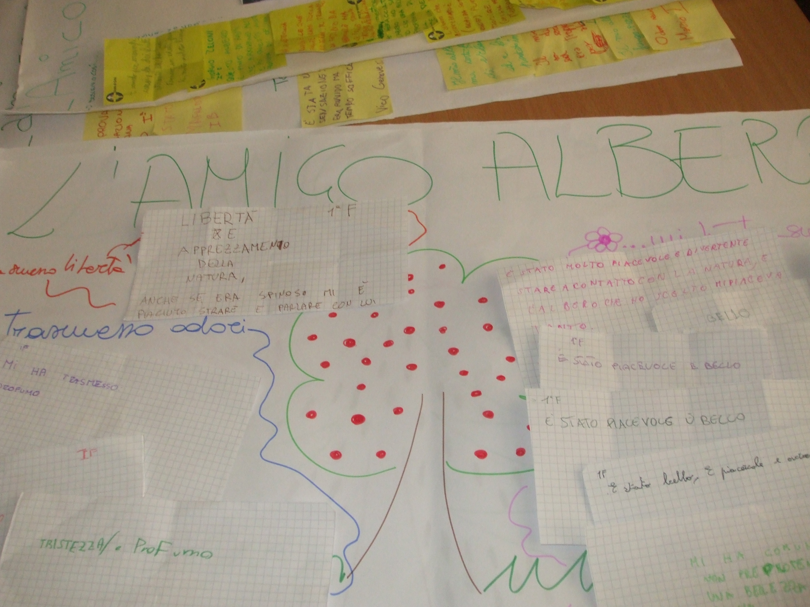 4648 cartelloni amico albero.jpg