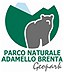 4691 logo adamello.jpg