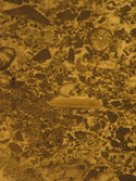 4695 antrodoco ariole small.jpg