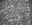 4696 antrodoco foraminiferi.jpg