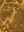 4703 antrodoco orbitoline picc.jpg