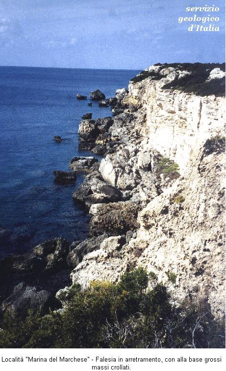 4774 pianosa falesia.jpg