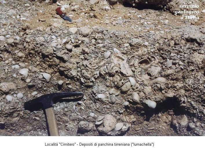 4786 pianosa tirreniano.jpg