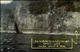 4980 thumbnail.jpg