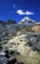 4990 rischio attivita prevenzione.jpg