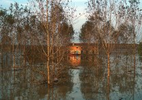 5001 rischio metodi indagine.jpg