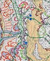 5028 cartografia.jpg