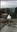 5194 thumbnail.jpg