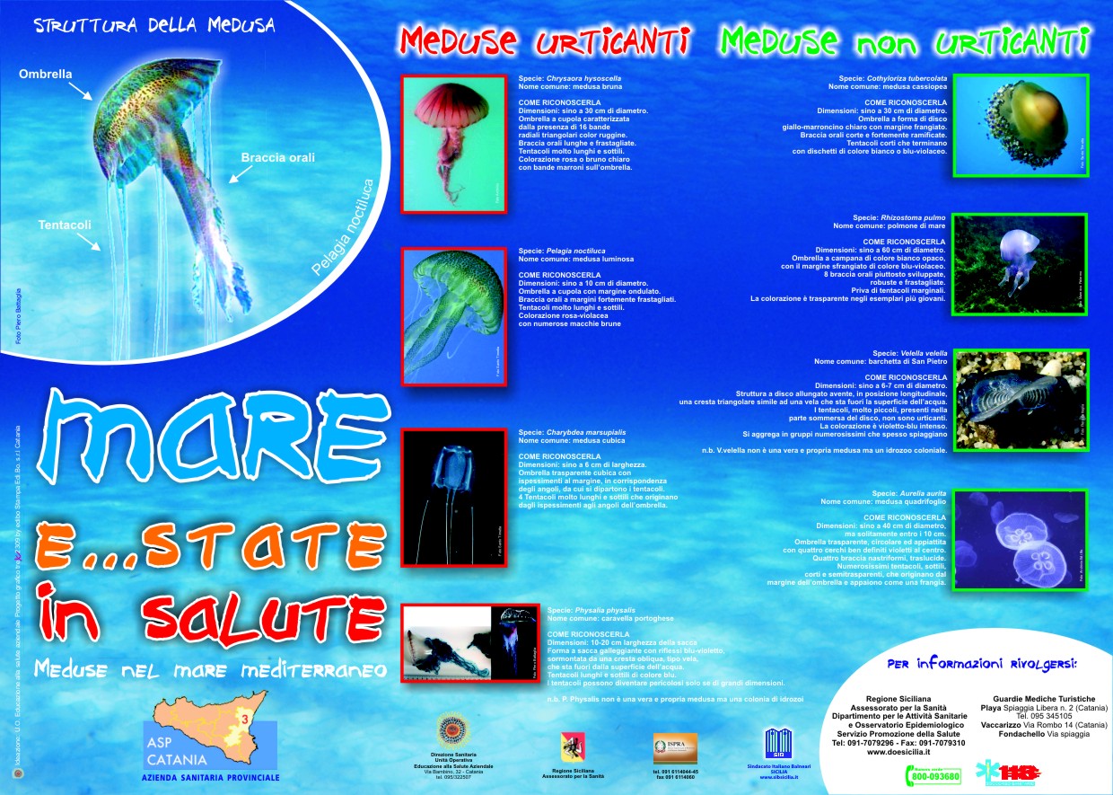 5253 50x70 orizzontale.jpg