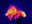 5282 thumbnail.jpg