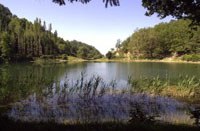 5365 qualita acqua.jpg
