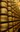 5580 parmigiano.jpg