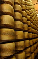 5580 parmigiano.jpg