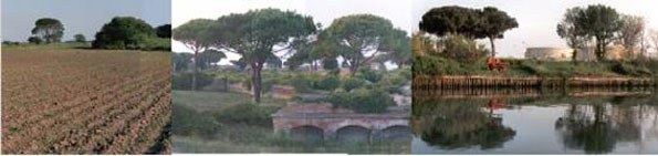 5716 gestioneripristino.jpg