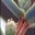 5825 immagine1b sm.jpg