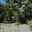 5834 thumbnail.jpg