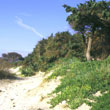5844 immagine4 p.jpg