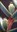 5847 immagine1b p.jpg